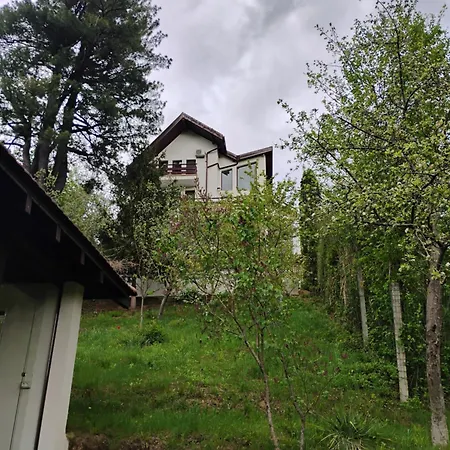 Paradise View Braşov