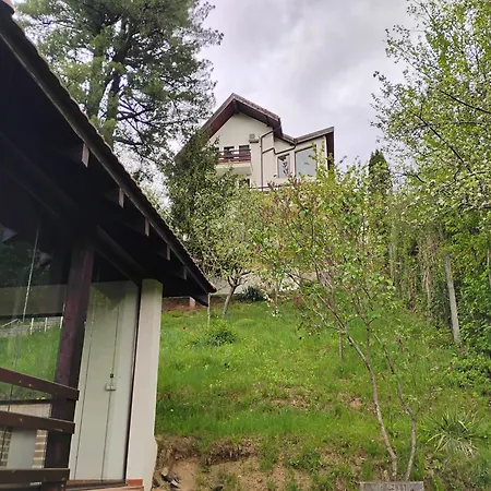Paradise View Villa Braşov