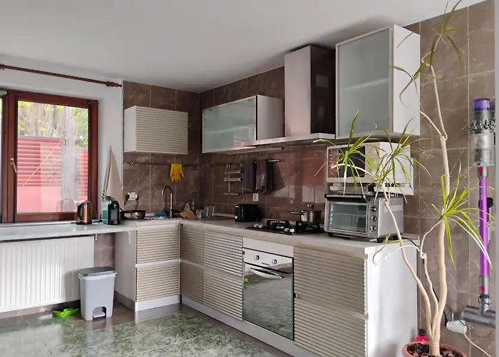 Paradise View Brassó