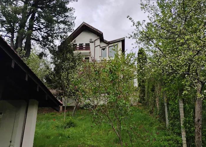 Paradise View Brassó